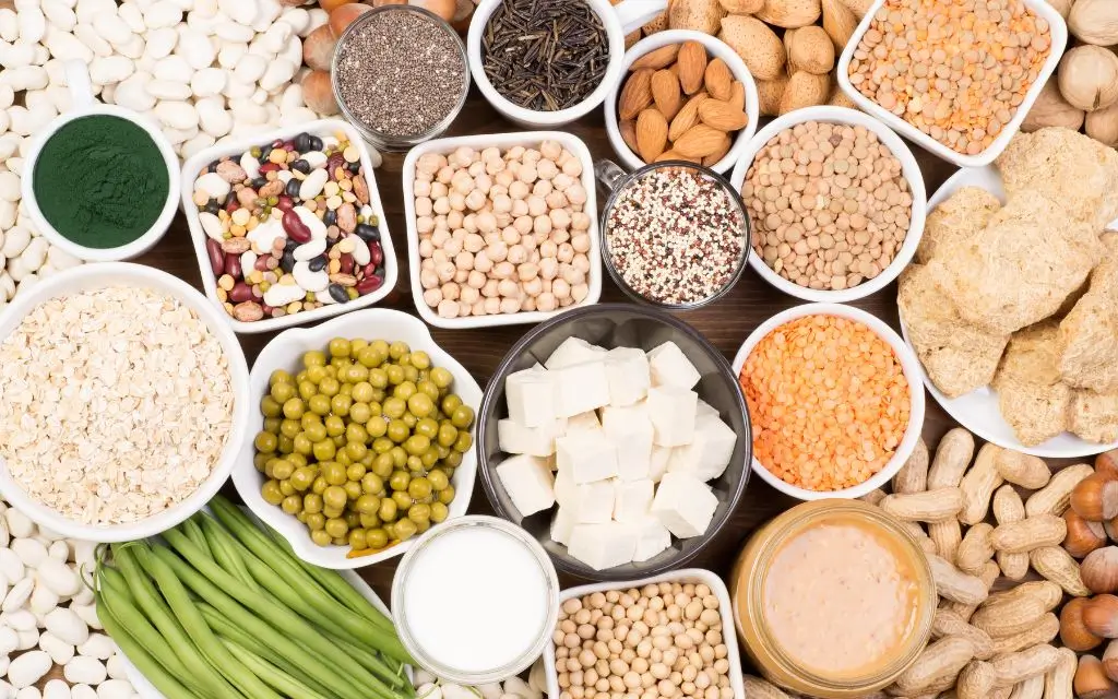 Proteína Vegetal - Opções Saudáveis e Sustentáveis