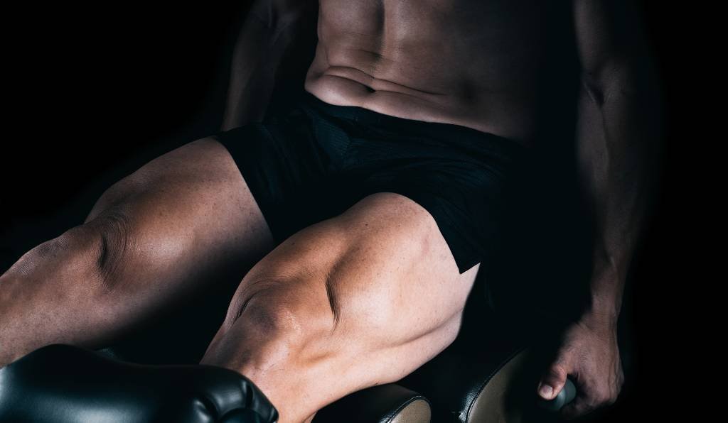 Treino de pernas para iniciantes