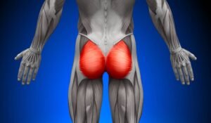 O que são glúteos e por que é importante treiná-los
