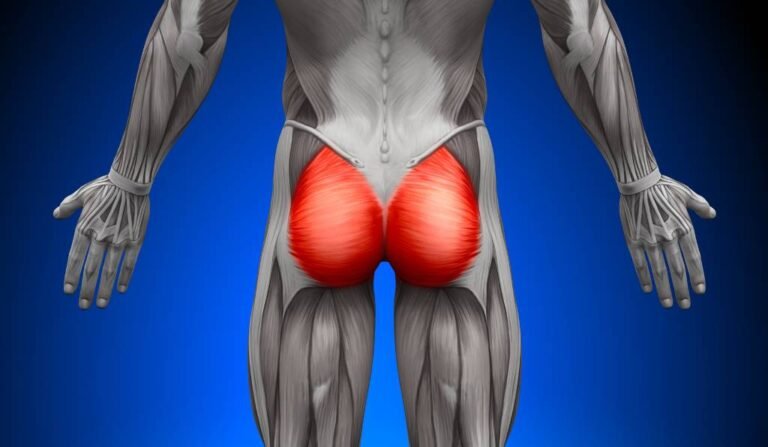 O que são glúteos e por que é importante treiná-los